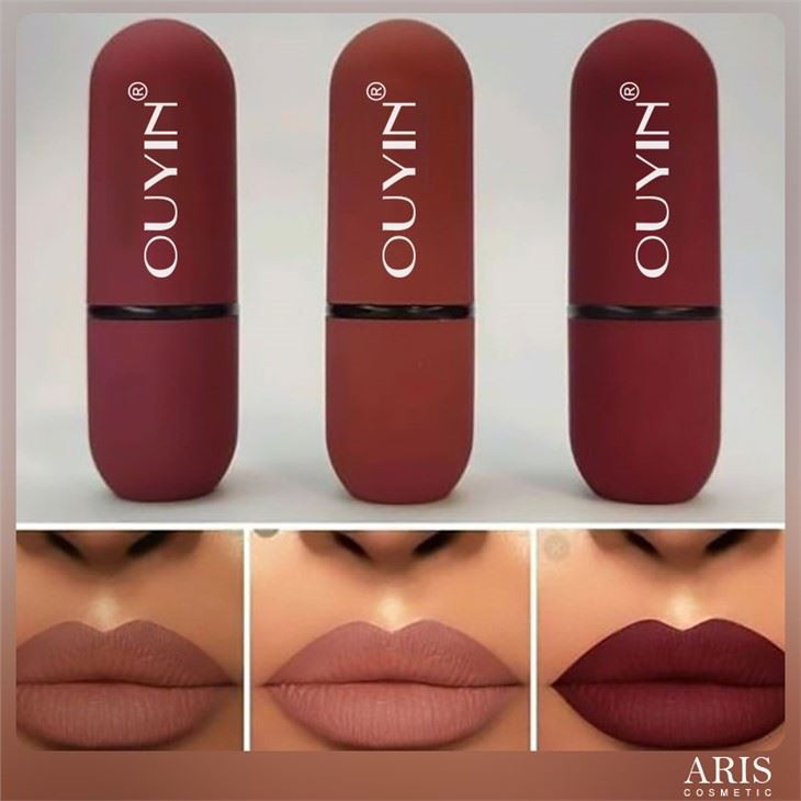 Colorful Highly Pigment Ultra Matte Waterproof Lipstick Cosmetic